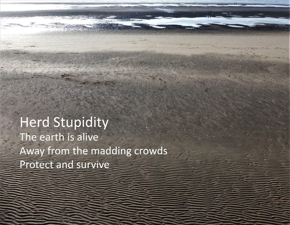 4 - Herd Stupidity 03Mar22